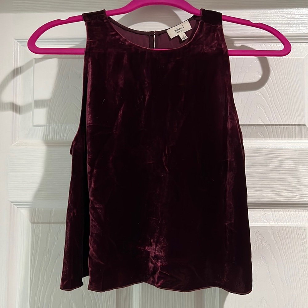 Aritzia velvet sleeveless top